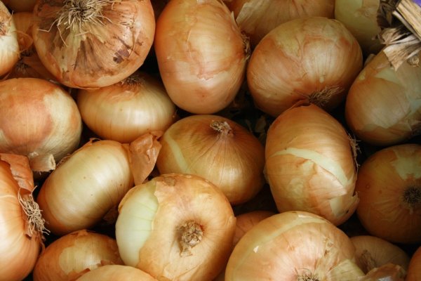 Кракен сайт официальный onion
